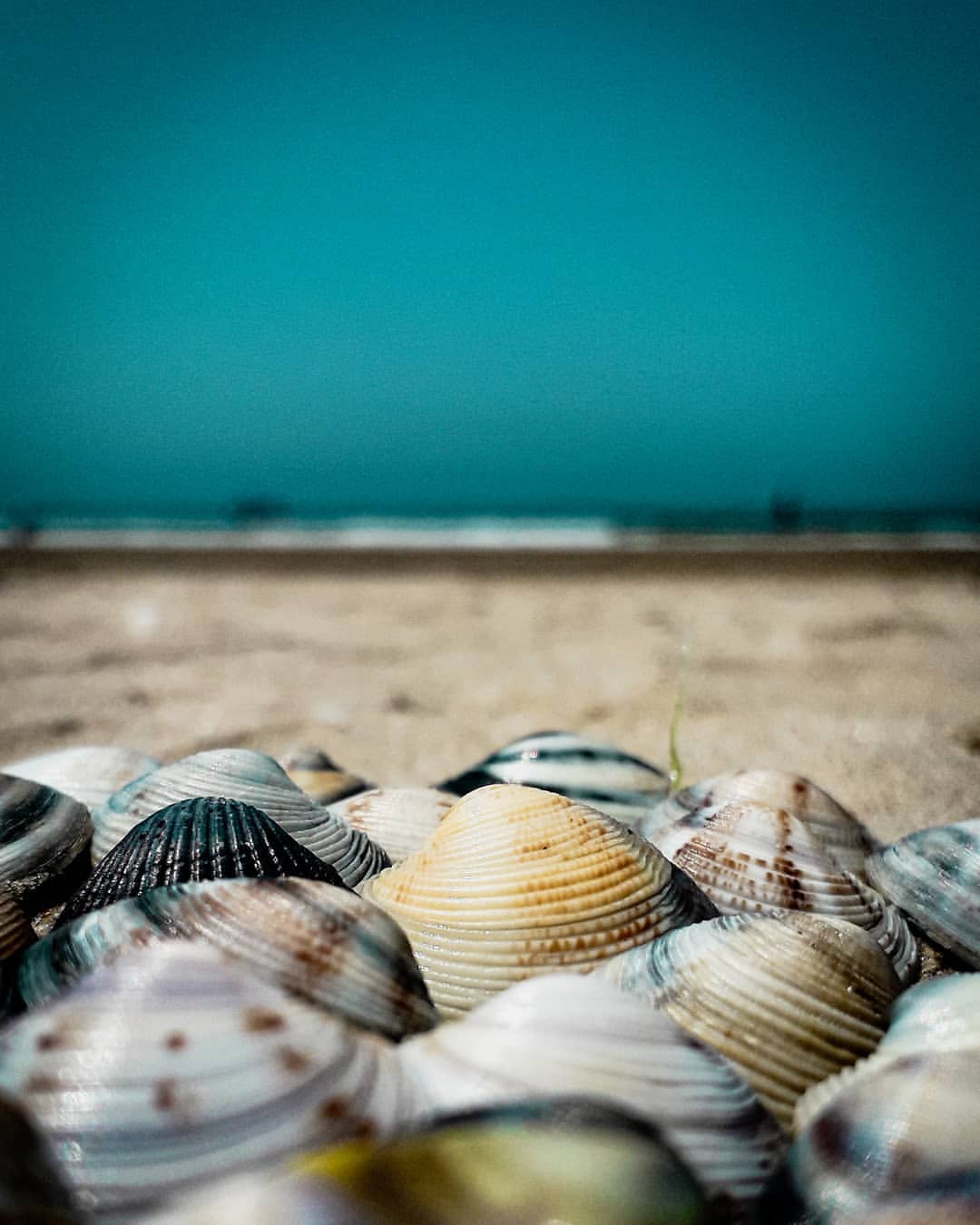 nasyadutova in LOOKY. #анапа,#анапа2021,#море,#лето,#отпуск,#отдых,#морюшко,#счастье,#черноеморе,#юг,#ракушки,#песок. #анапа #анапа2021 #м...