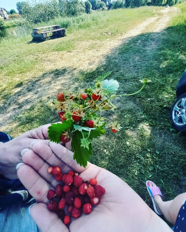 irina_vadimovna1992 в LOOKY. . Вкуснятина 😛🥰