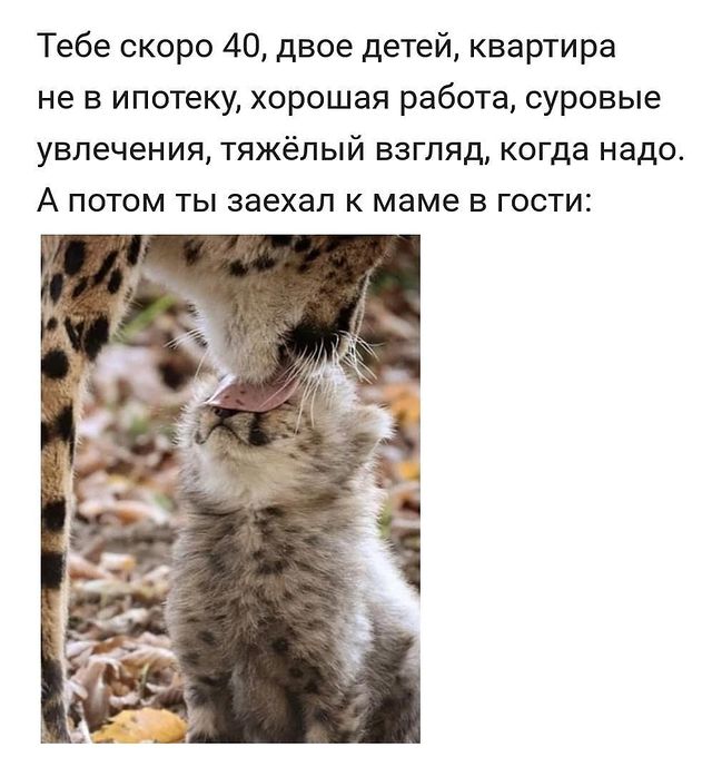 ver828 в LOOKY. . Вот так и живём)))