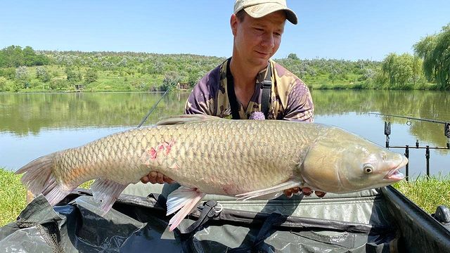 yug_fishing в LOOKY. #краснодар,#кубань,#ставрополь,#рыбалка,#карпфишинг,#природа,#путешествия. Разловили новый водо...
