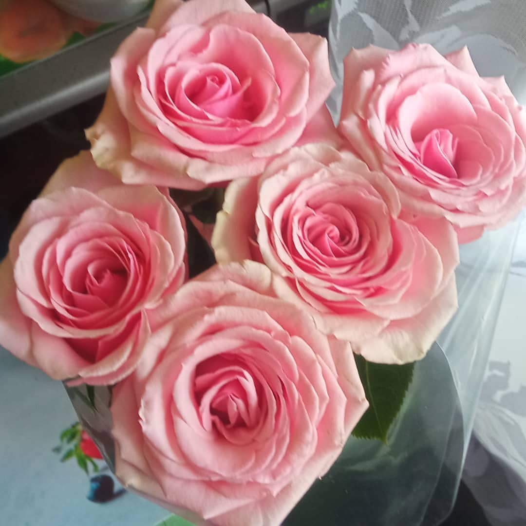 ulyashka_koltsova в LOOKY — ПрОсТо Также😍🥰😊