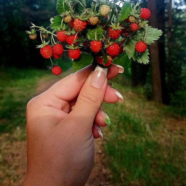 gabova.katerina в LOOKY. . Красиво в деревне ле...