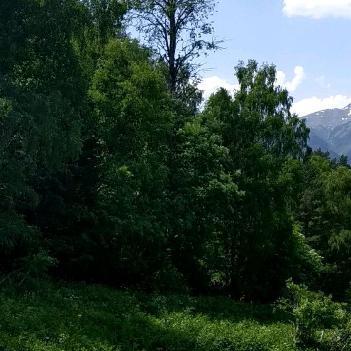 efisunov в LOOKY. . Водопад Казачий