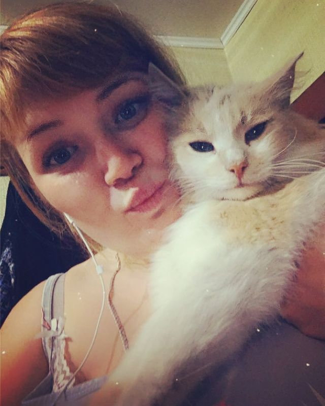 lemiakina24091994 в LOOKY. #🐈❤️. #🐈❤️