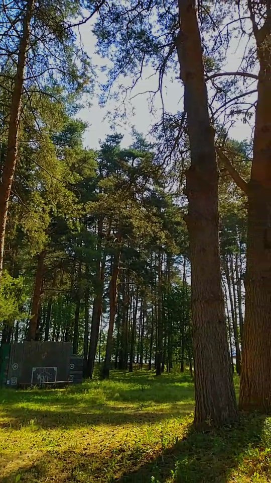 nadin.putaeva.yarmola в LOOKY. . Природа🌲🌳🌲