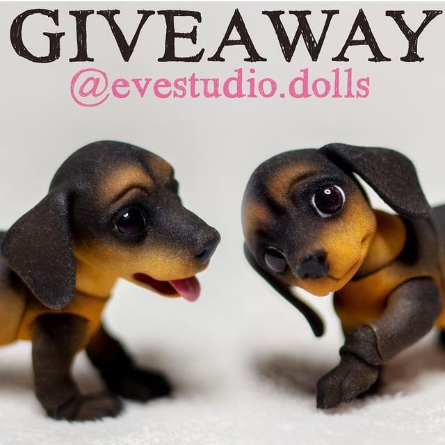 marsiankka в LOOKY. #evestudiogiveaway. Хочу такого зверька ...