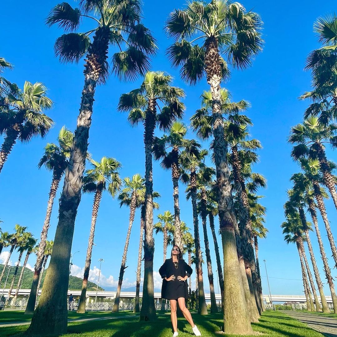 niky.lena в LOOKY — под пальмами жить 🌴 

#sochi #sochifornia #trevel