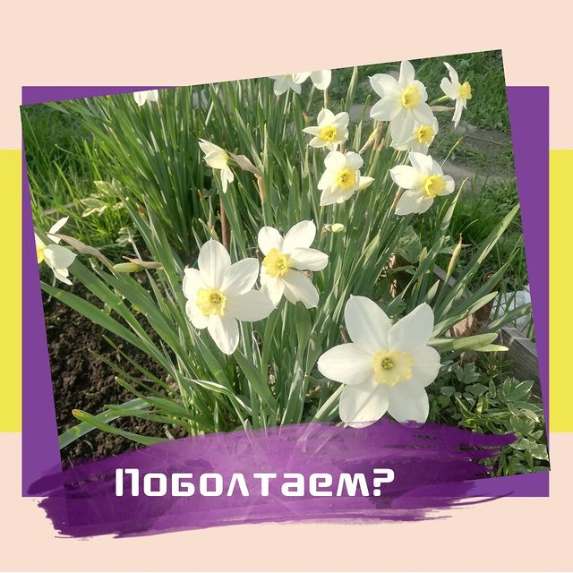 kouch_liubov в LOOKY. #аромакоуч_Любовь,#женскиебудни,#легкобытьженщиной,#коучинг,#эфирныемасла,#беседа,#коучингекб,#аромакоучинг,#мамаидочка. Я очень люблю погово...