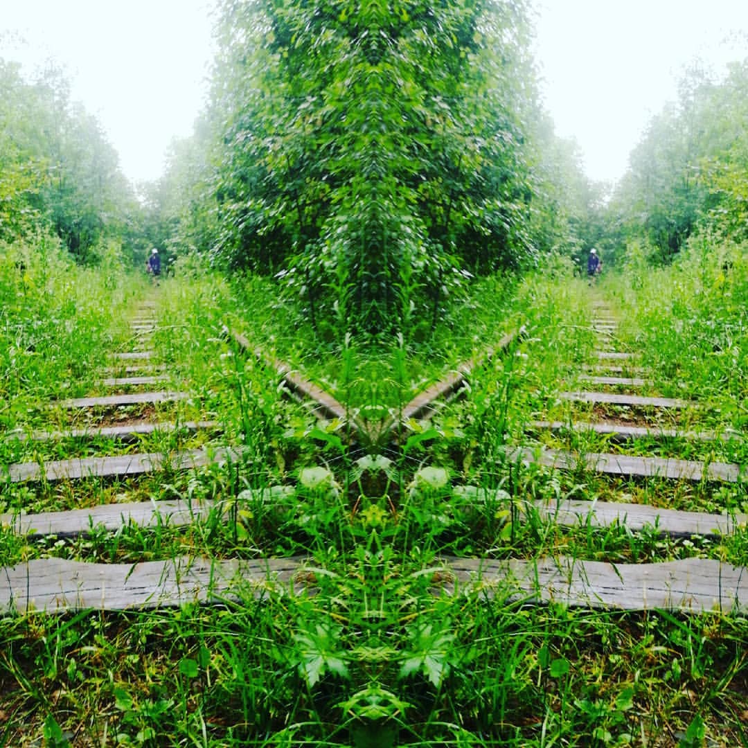 fan25art в LOOKY — фото 9