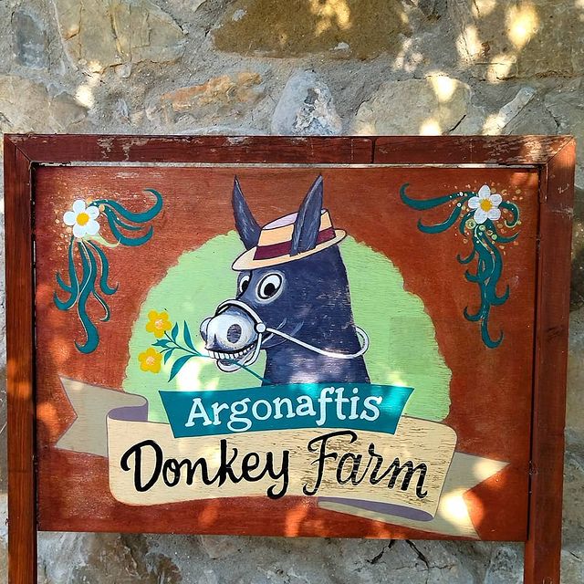 tank__666 в LOOKY. #donkeyfarm,#argonaftisdonkeyfarm,#ciprus,#танецсостаканами,#dancewithglasses. Это была вторая наша...