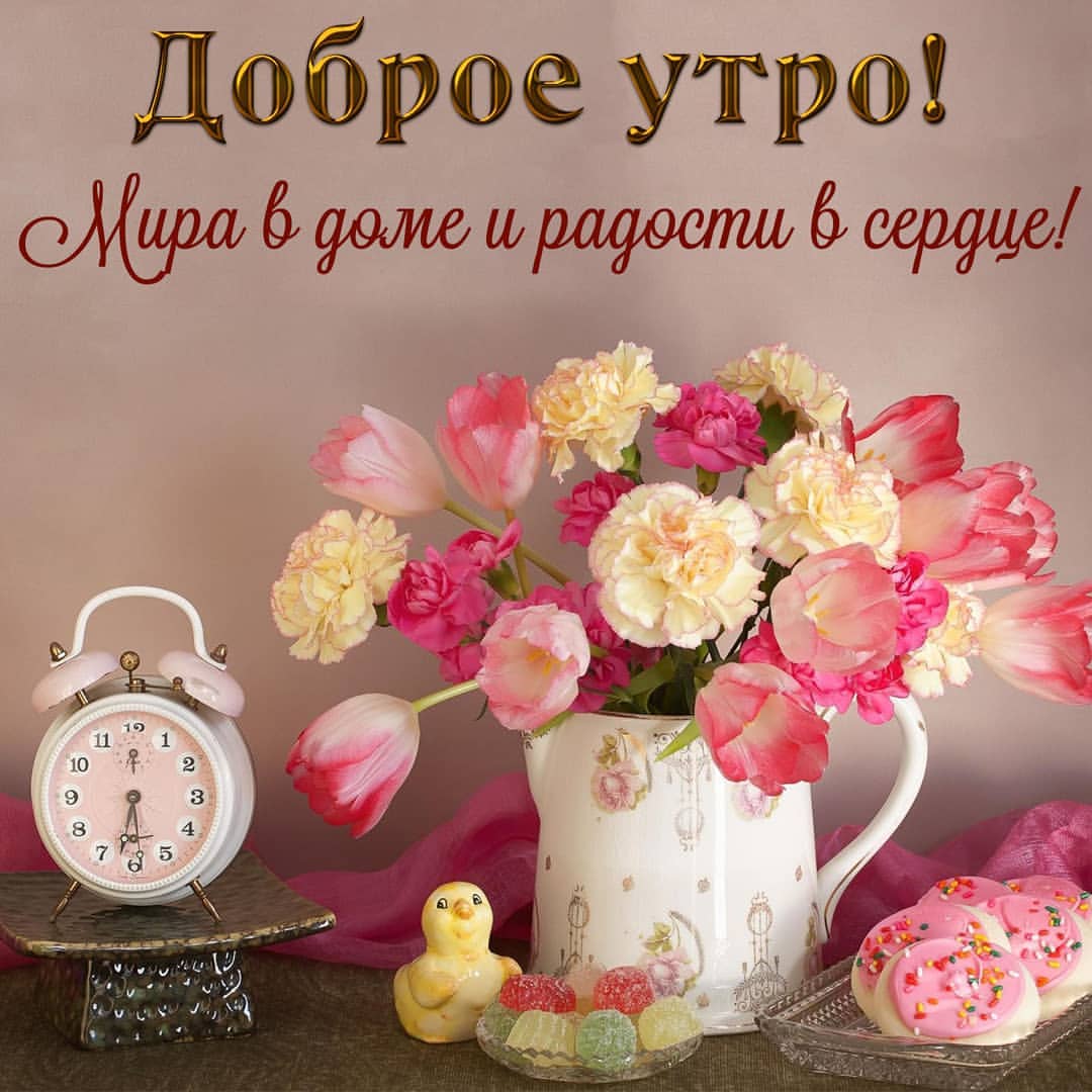 shchegolka.anna в LOOKY. #доброеутро☀️,#хорошегодня,#любитедругдруга,#лето2021. #доброеутро☀️ #хорош...