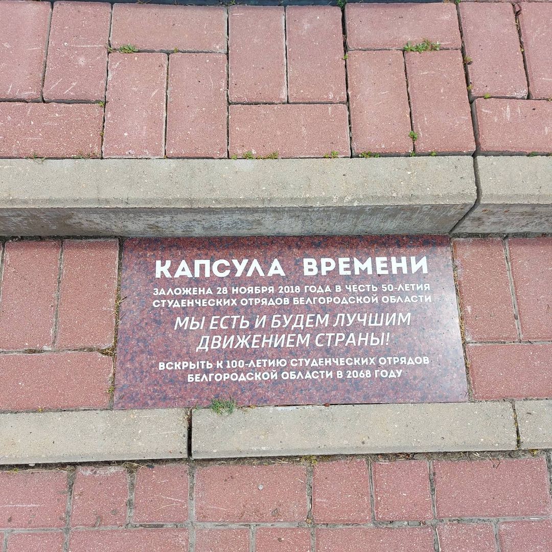 medvekoshka в LOOKY — фото 7