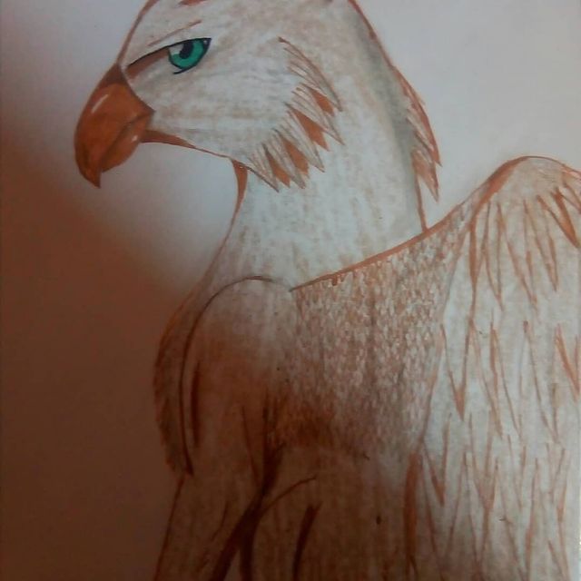 fey_from_hell в LOOKY. #грифон,#дракон,#мифическиесущества,#рисунок,#dragon,#griffin,#Mythicalcreatures,#Drawing,#말,#용,#그리폰,#신화생물,#그리기. Итоговый вариант рис...
