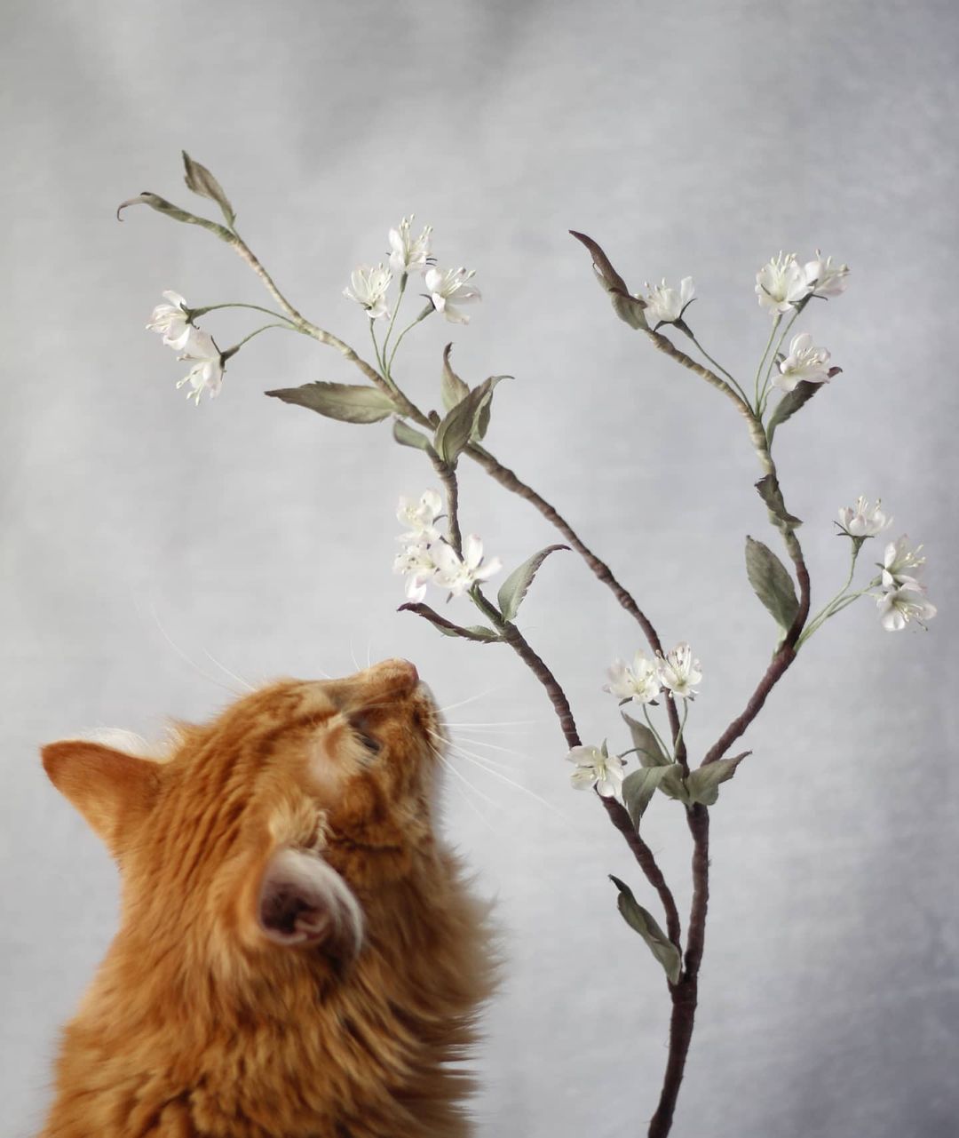 elenasilkflora в LOOKY — Мой критик в работе #silkbouquet