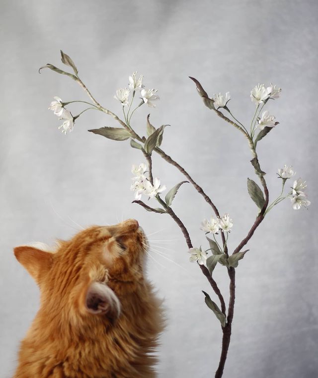 elenasilkflora в LOOKY. #silkbouquet. Мой критик в работе ...
