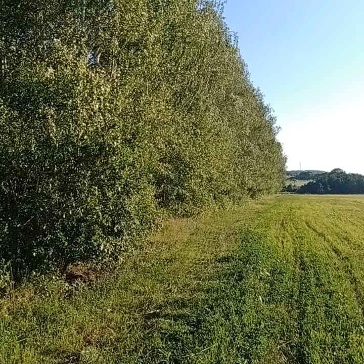 guzelkagt в LOOKY. . Красота природы
