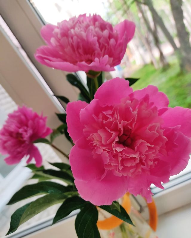 ulyanka.kari в LOOKY. . null