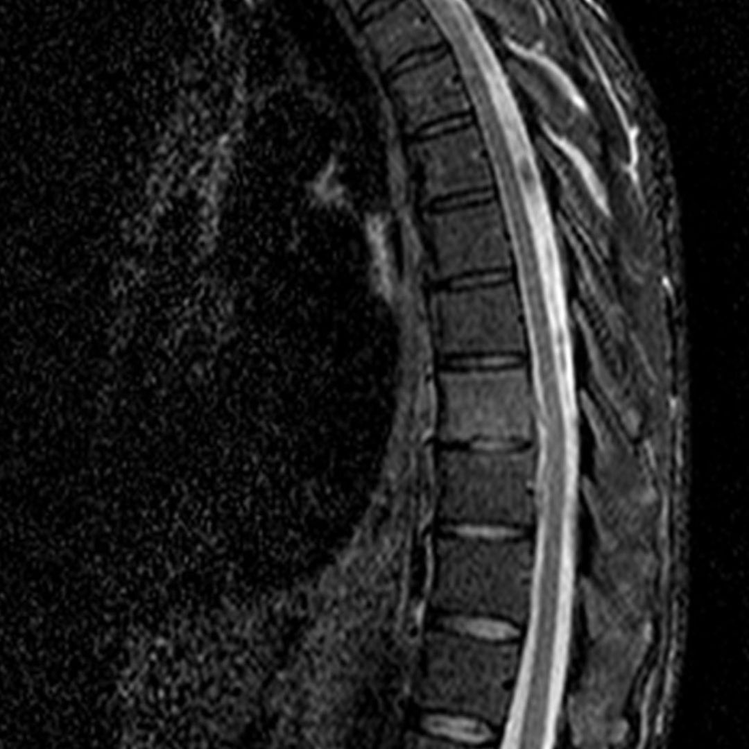 russianradiology в LOOKY — фото 3