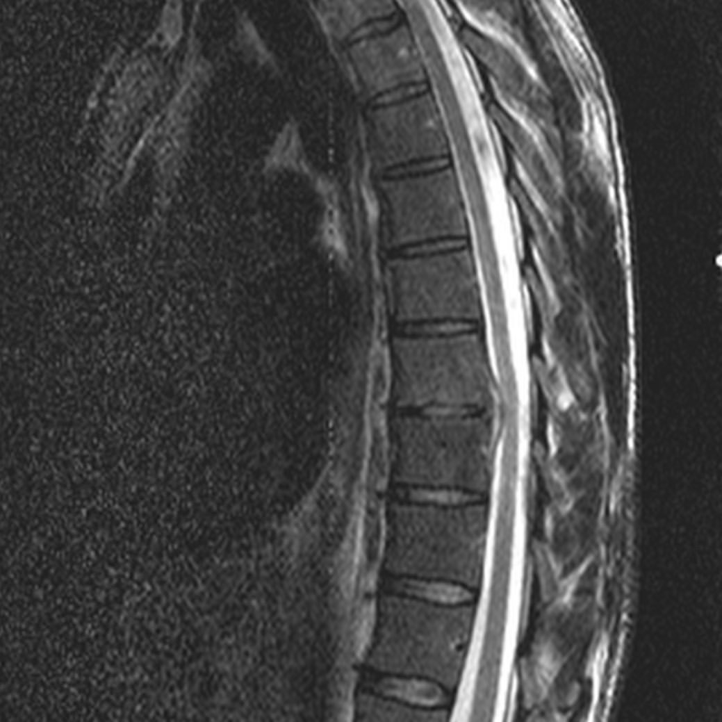 russianradiology в LOOKY — фото 2