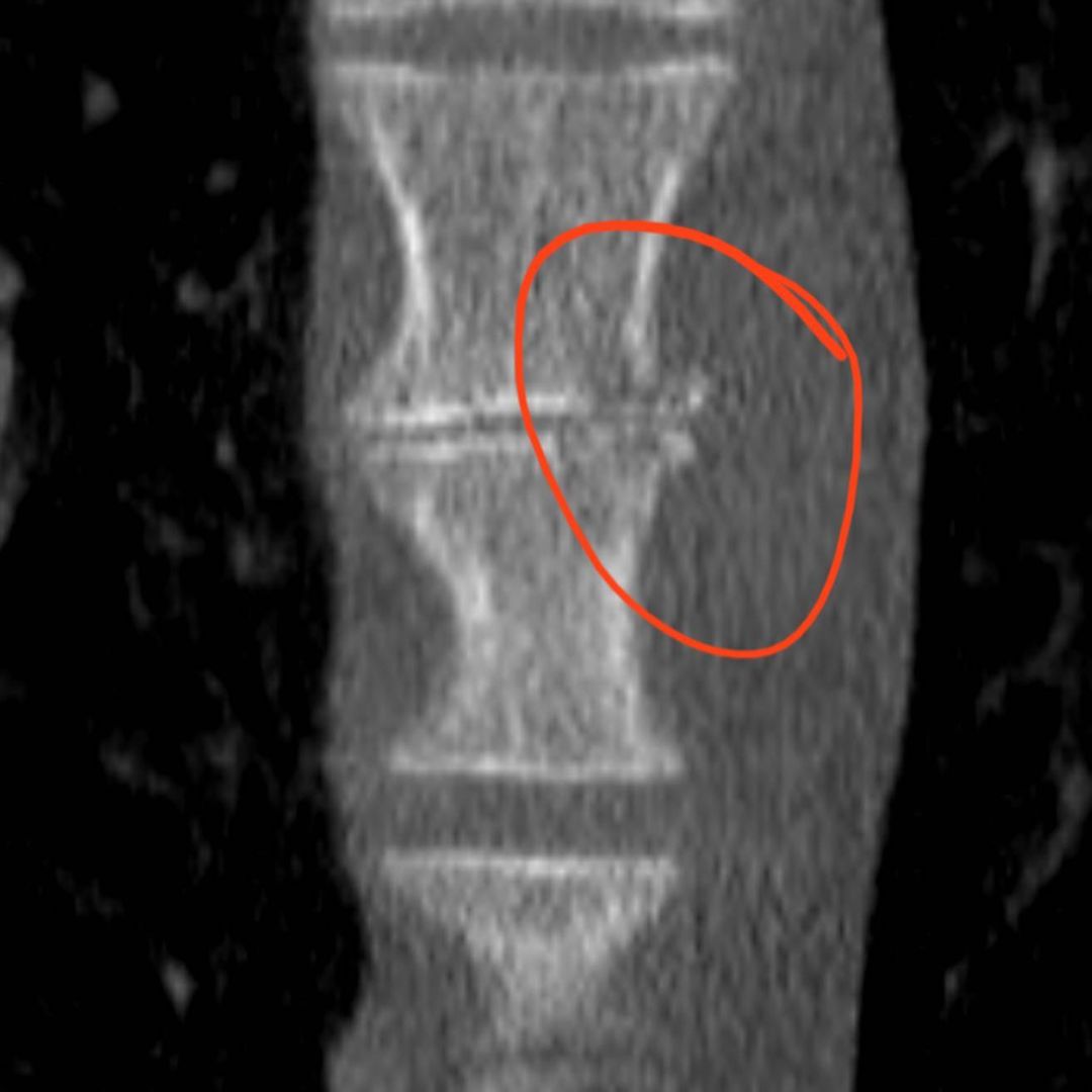 russianradiology в LOOKY — фото 7