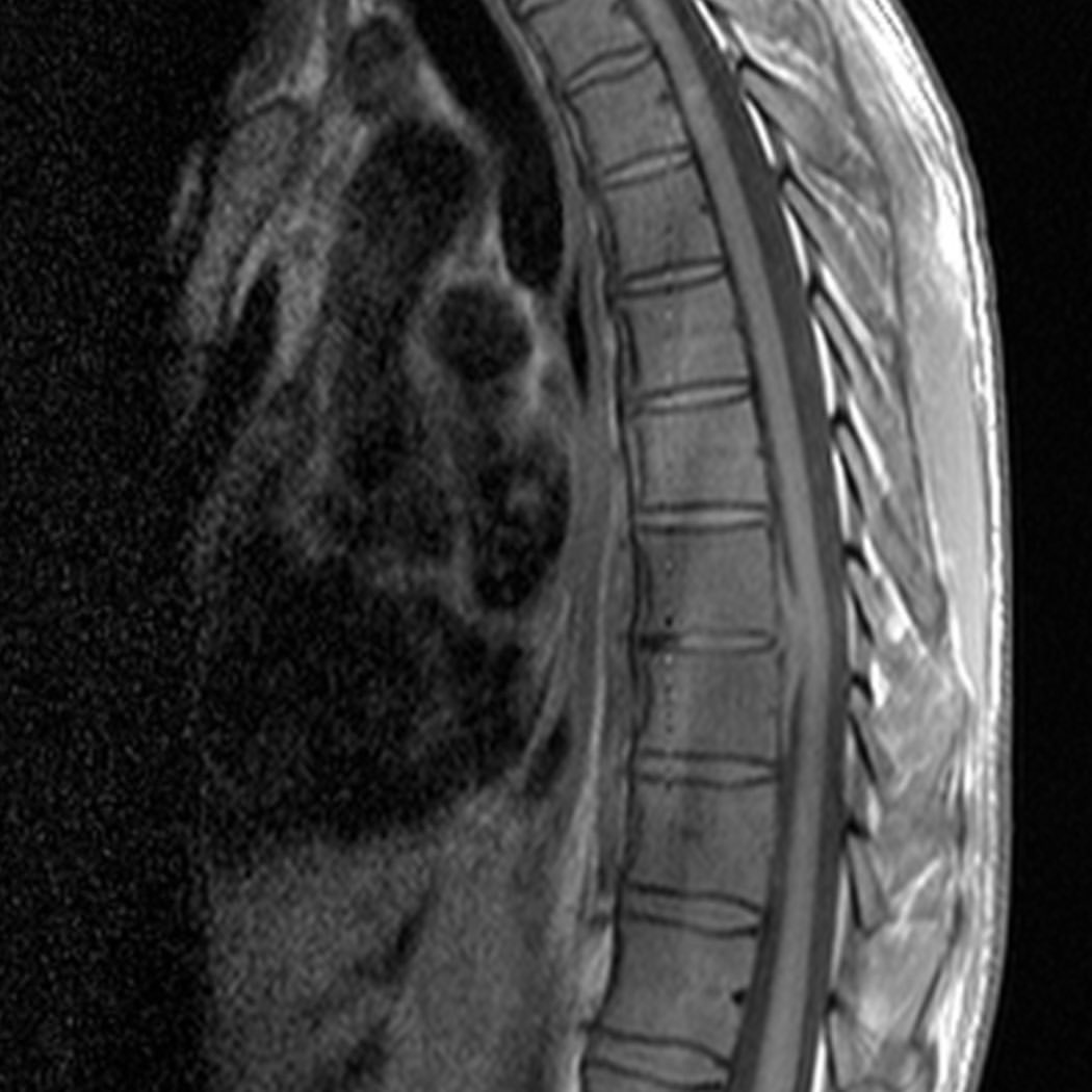 russianradiology в LOOKY — фото 4