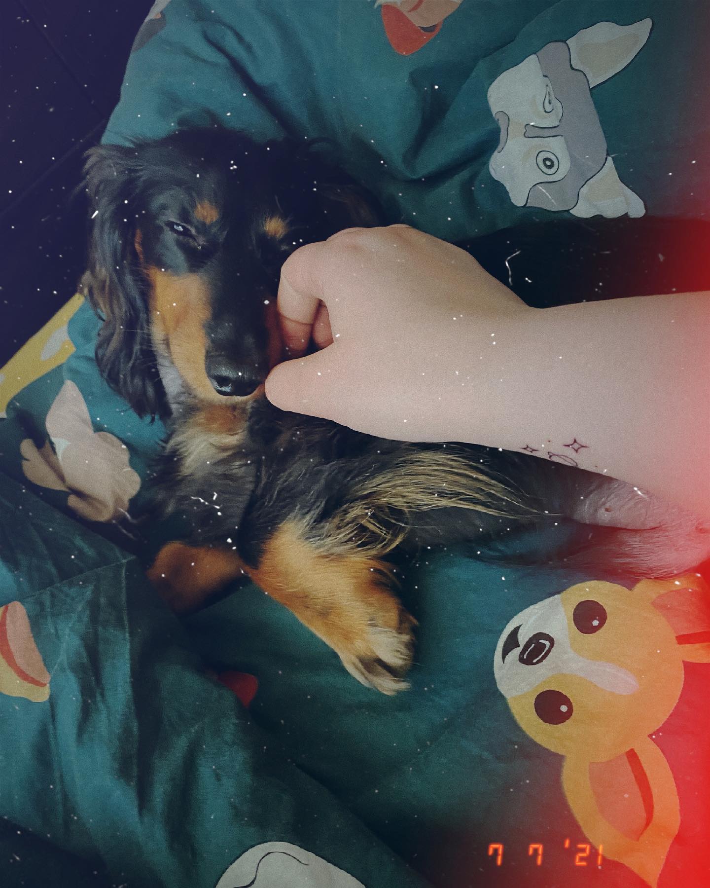 katya.marmelad в LOOKY. . 🐶