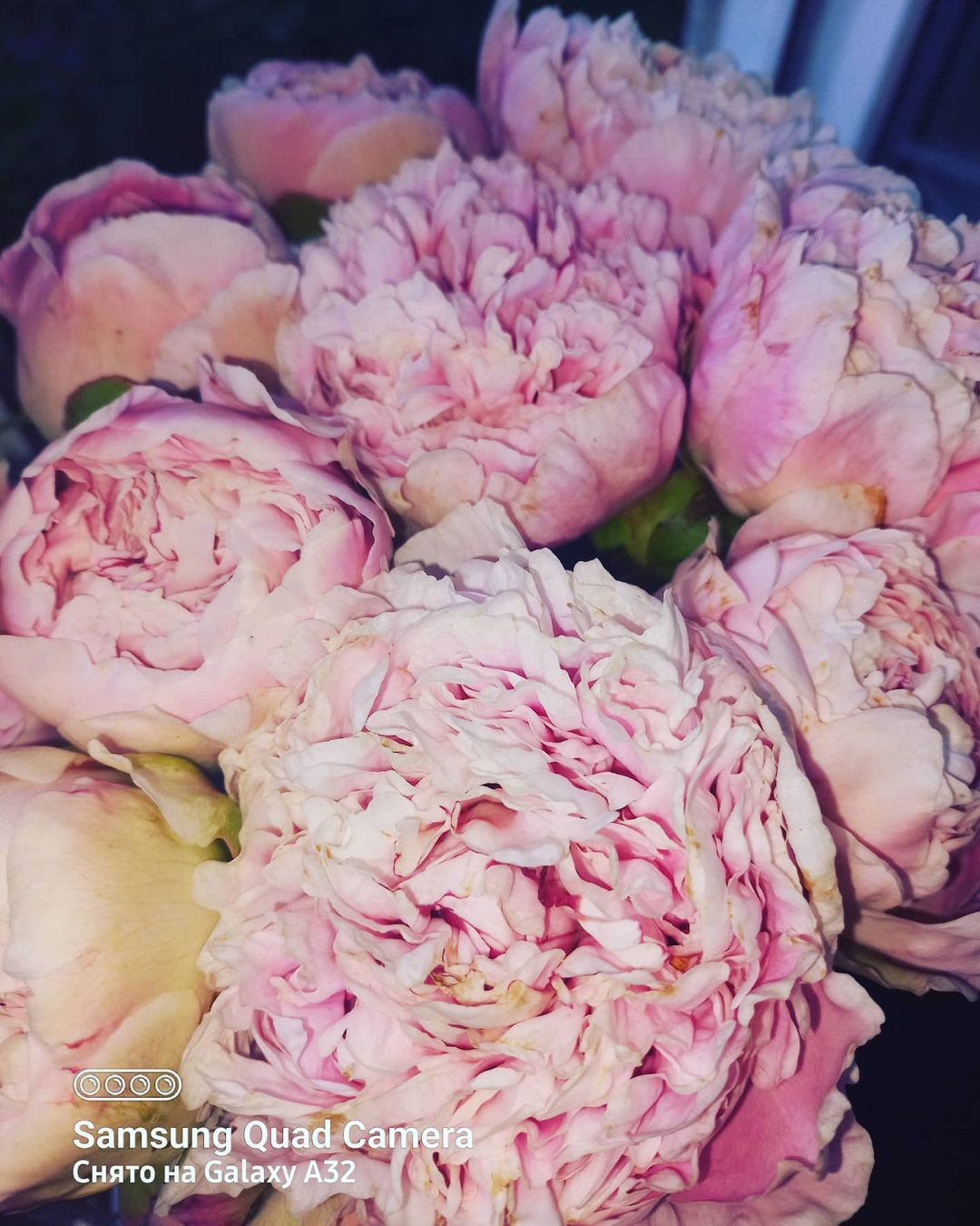 yulya.permyakova в LOOKY — #пионы🌸 #этолюбовь💙 #счастьеесть✨ #моялюбовь❤️