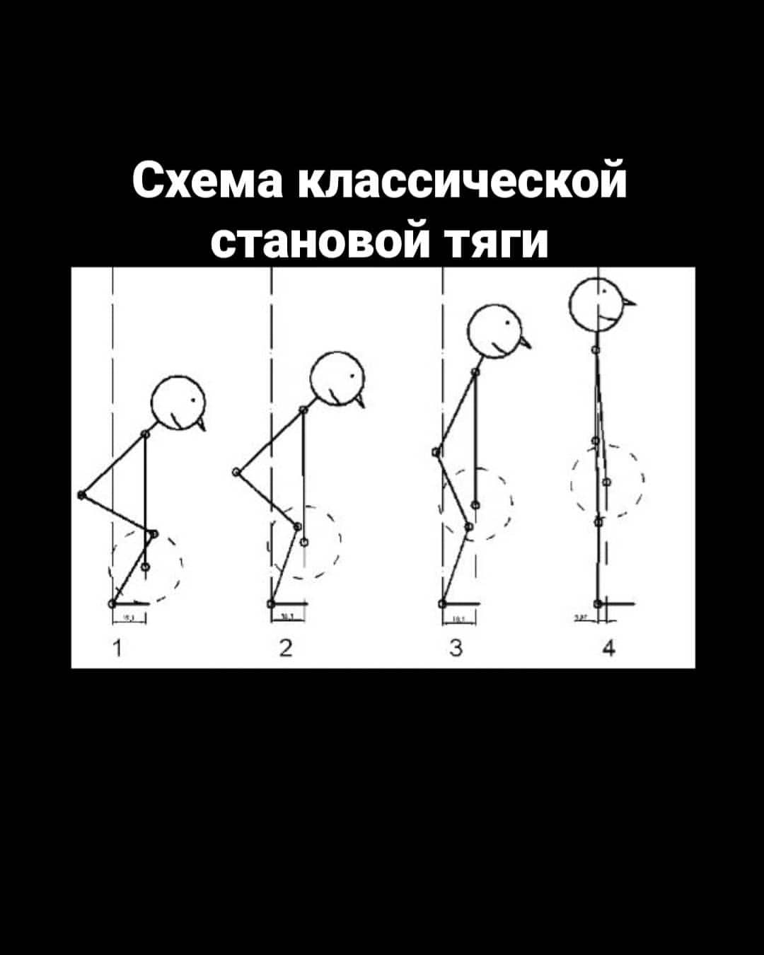 alex_belkov_gym в LOOKY — фото 10