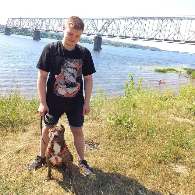 amstaff.beyli в LOOKY. #стафф,#другчеловека,#собакаубийца,#стаффи. #стафф #другчеловека...
