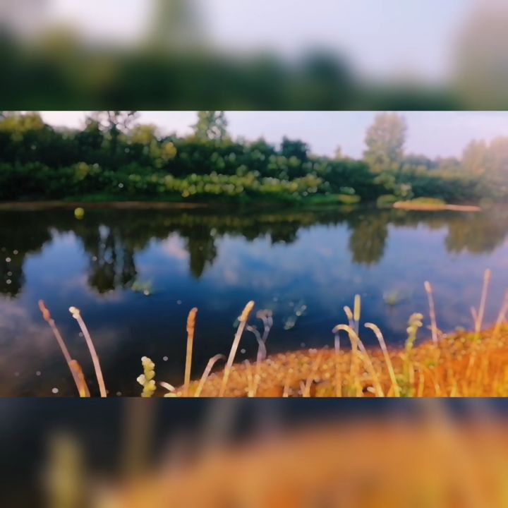 _nadya_97 in LOOKY. #лето..... #лето....