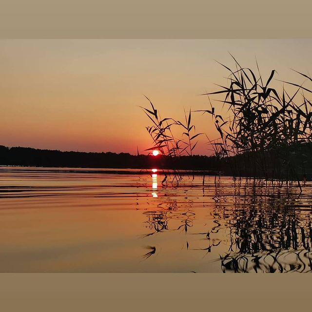 dmitriy_nikulin в LOOKY. . null