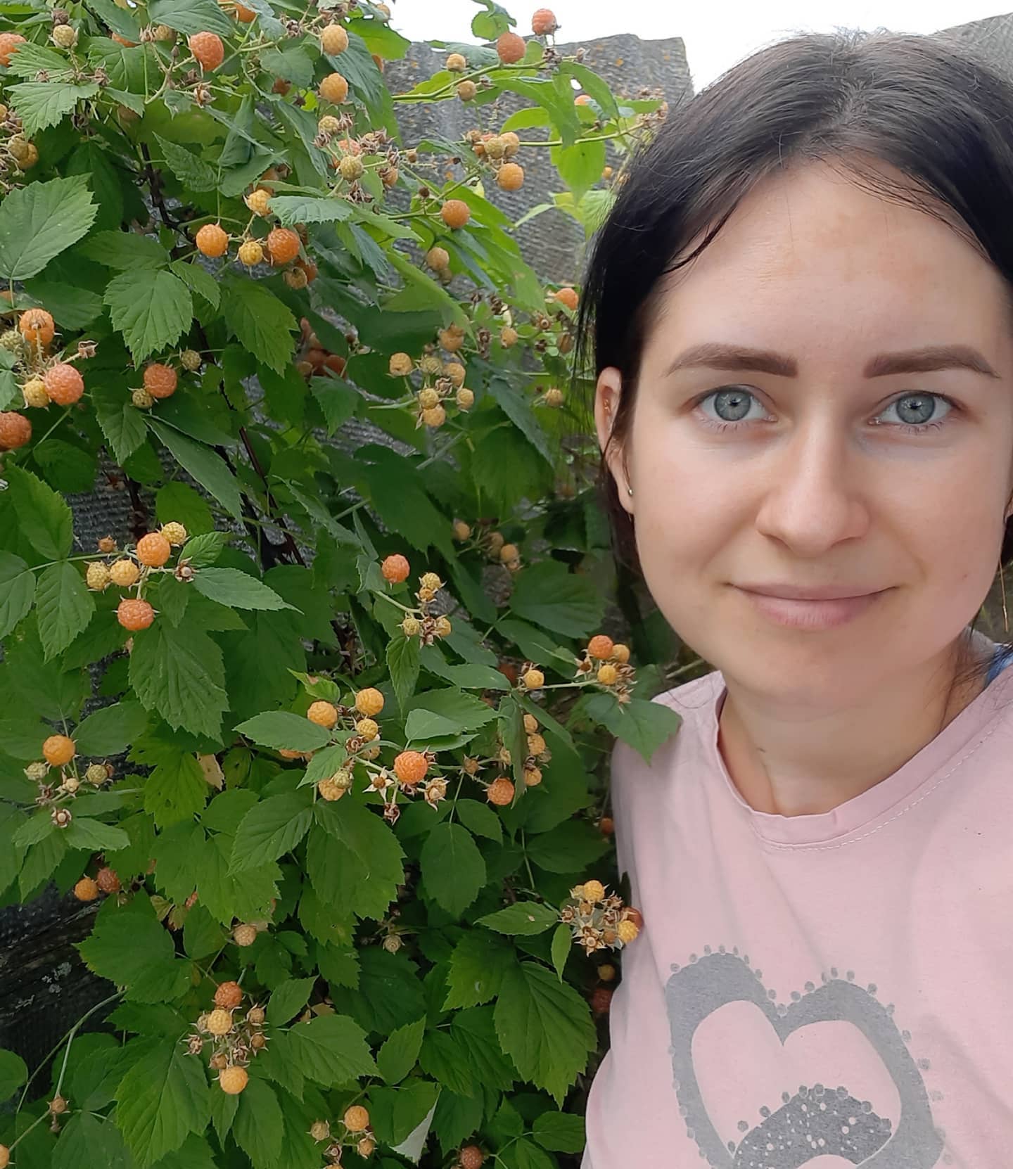 buketnyykonditer в LOOKY. #дома#природа_дома#ежевика#малина#груши#яблоки#лето2021июль#виноград#лилии#сладости_летом#лето_в_деревне. 🍉🐈☘🐓🏵🐔🐠🐞🤳🍉�...