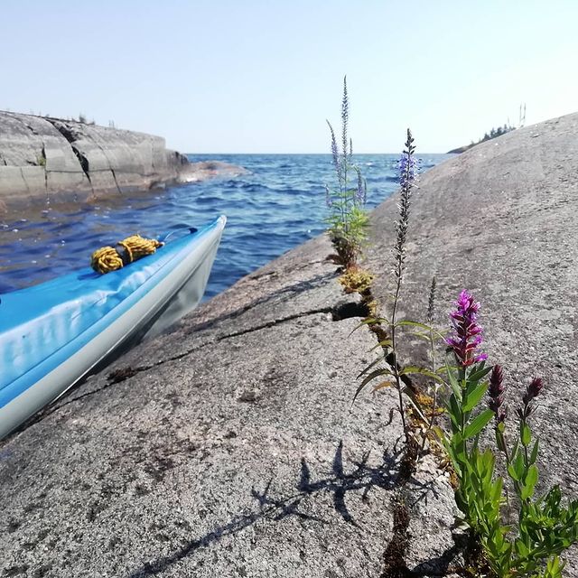 serggikommail.ru в LOOKY. #каяк,#сплав,#ладога,#bravoscoffee,#ladogalake,#гарпун,#kayak,#kayaking,#paddling. Килограмм мяса, кило...