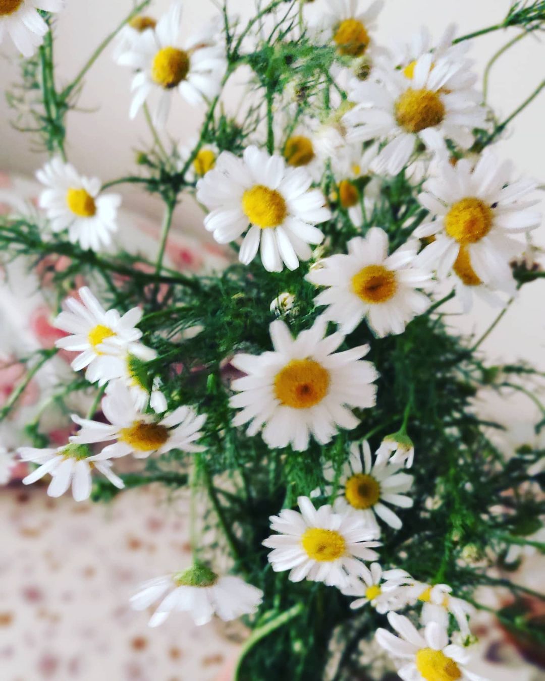 _olga.timofeeva_ в LOOKY — #пришелмужсработы #простыеилюбимые #маленькиерадости #люблюм