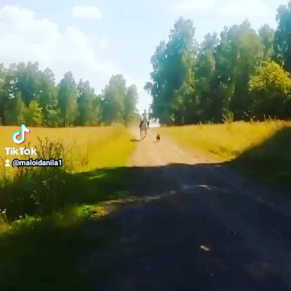 sviatkniaz в LOOKY. . null