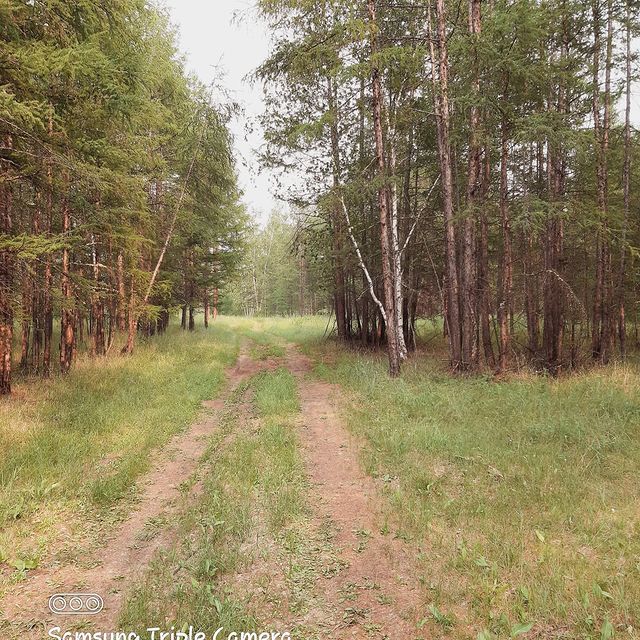 lenaadm18 в LOOKY. . Сезон сбора🍓🍓🍓отк...