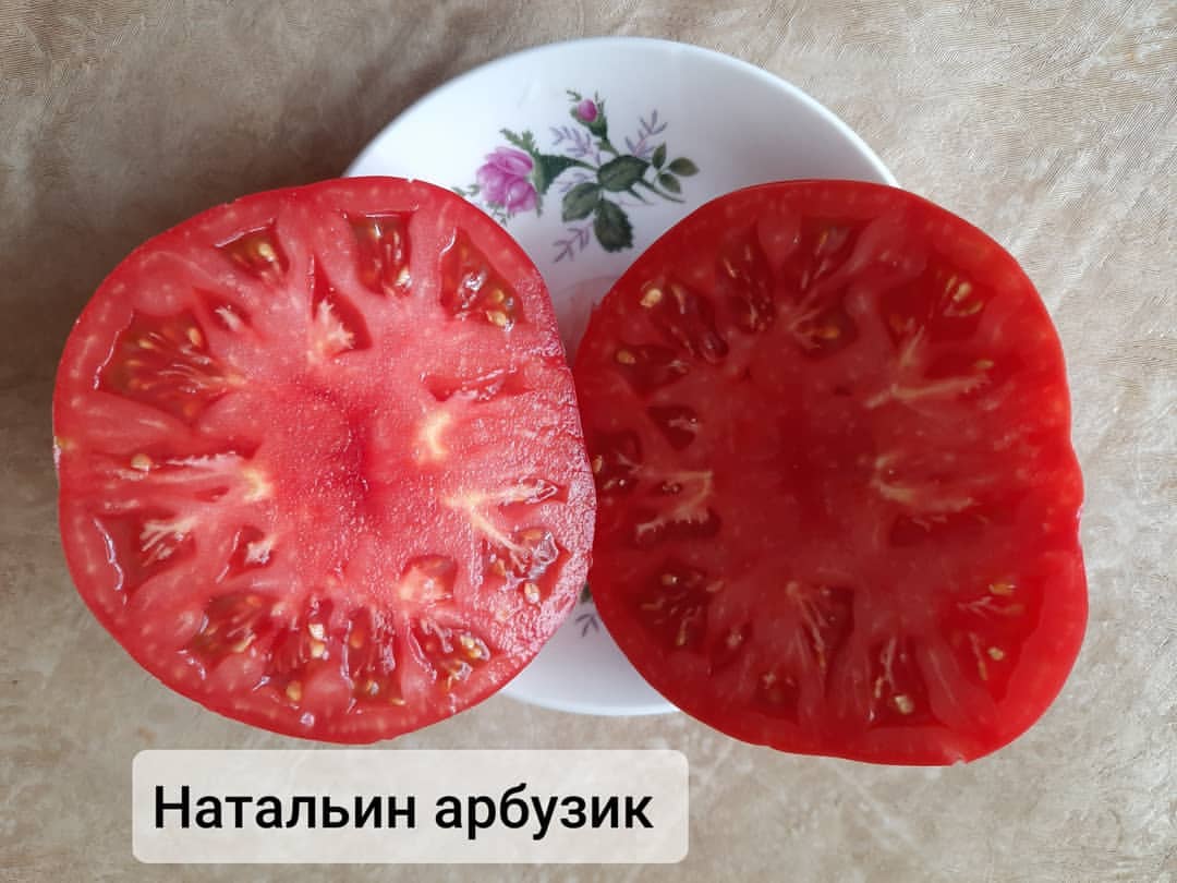 ekaterina_tomat_ogorod в LOOKY — фото 3