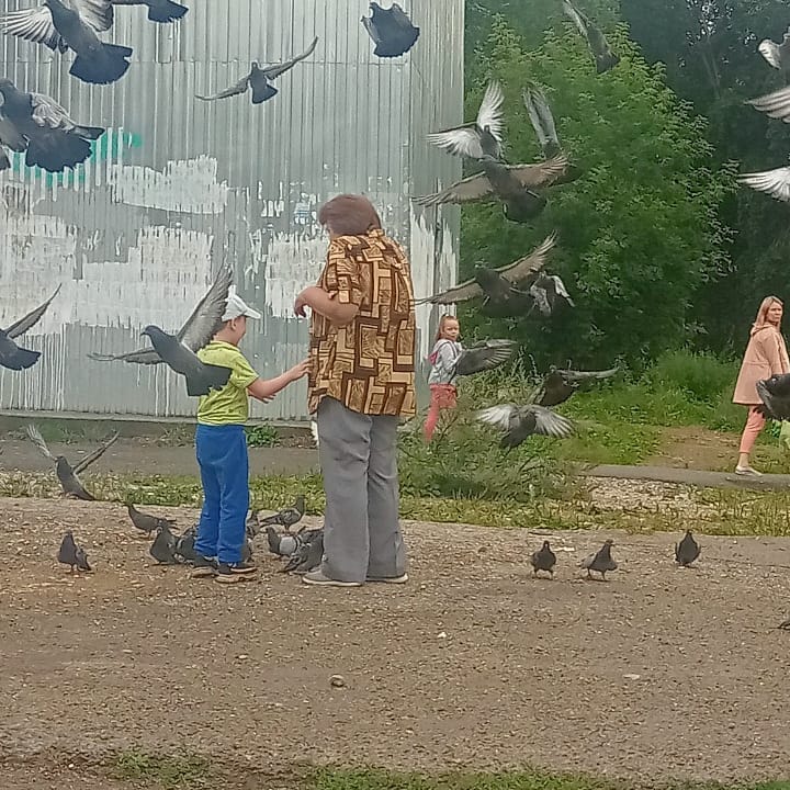 gabova.katerina in LOOKY. . Говорят у собак нет ...