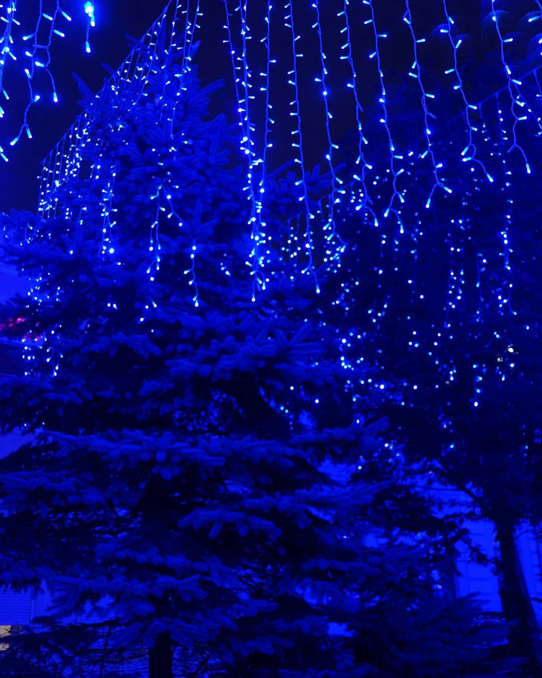 _yulya_goroshko_ в LOOKY — фото 5