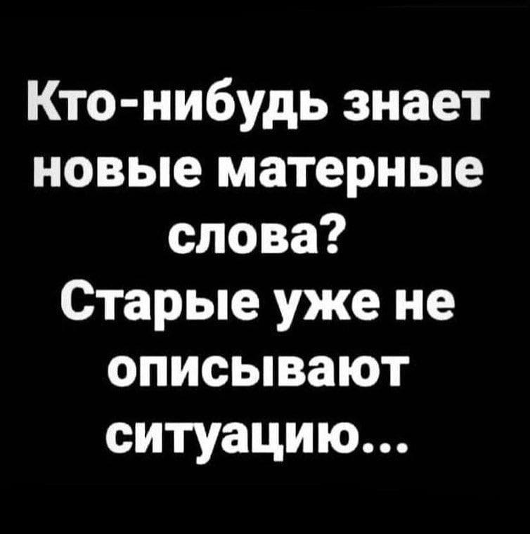 pipa.krm.krd в LOOKY. . null