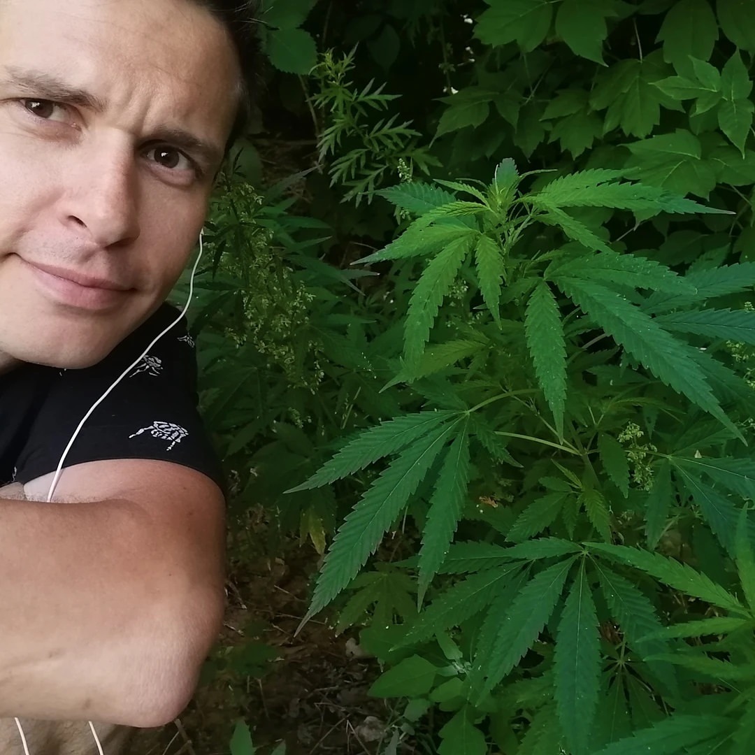 yantik_off в LOOKY. . Вобщем весело в Каза...