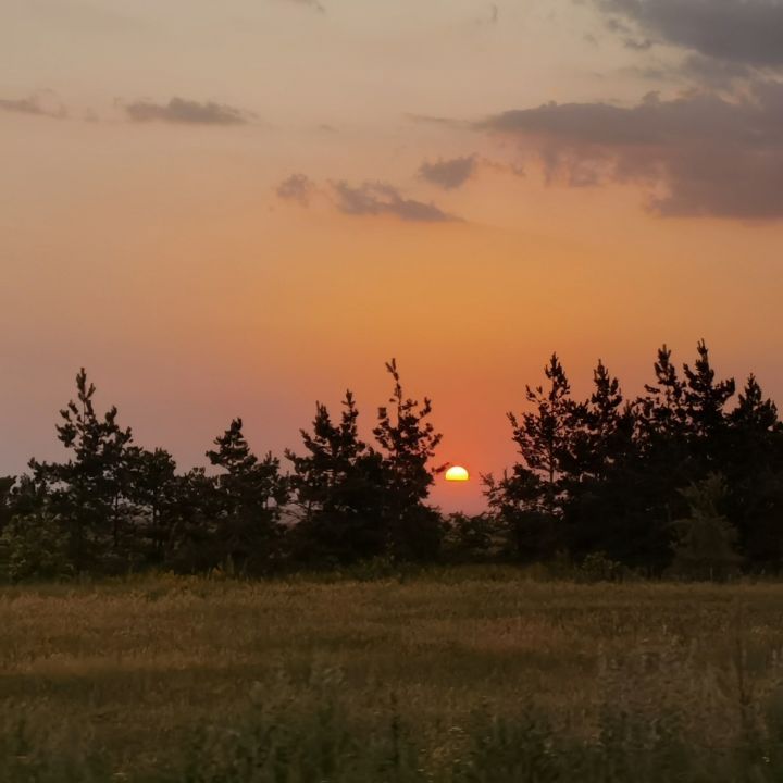 evgenysyrchin в LOOKY. . Смотреть видео с рег...