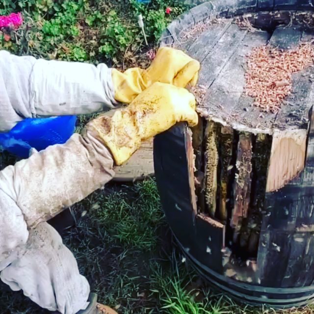 lina_medovaya_69 в LOOKY. . Залипательное видео ...