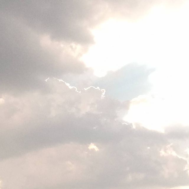 mad.scientist25 в LOOKY. . null