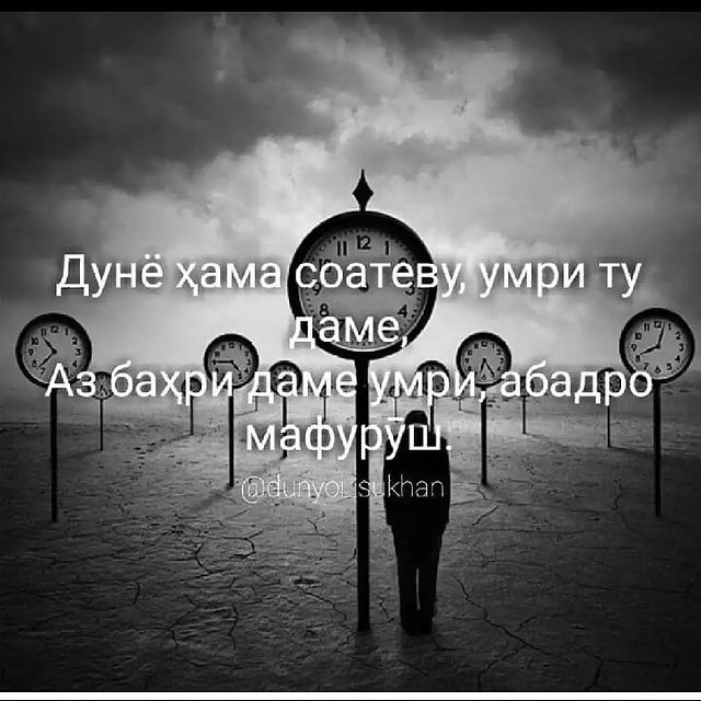 Firdavsi Qurbonov in LOOKY. . null
