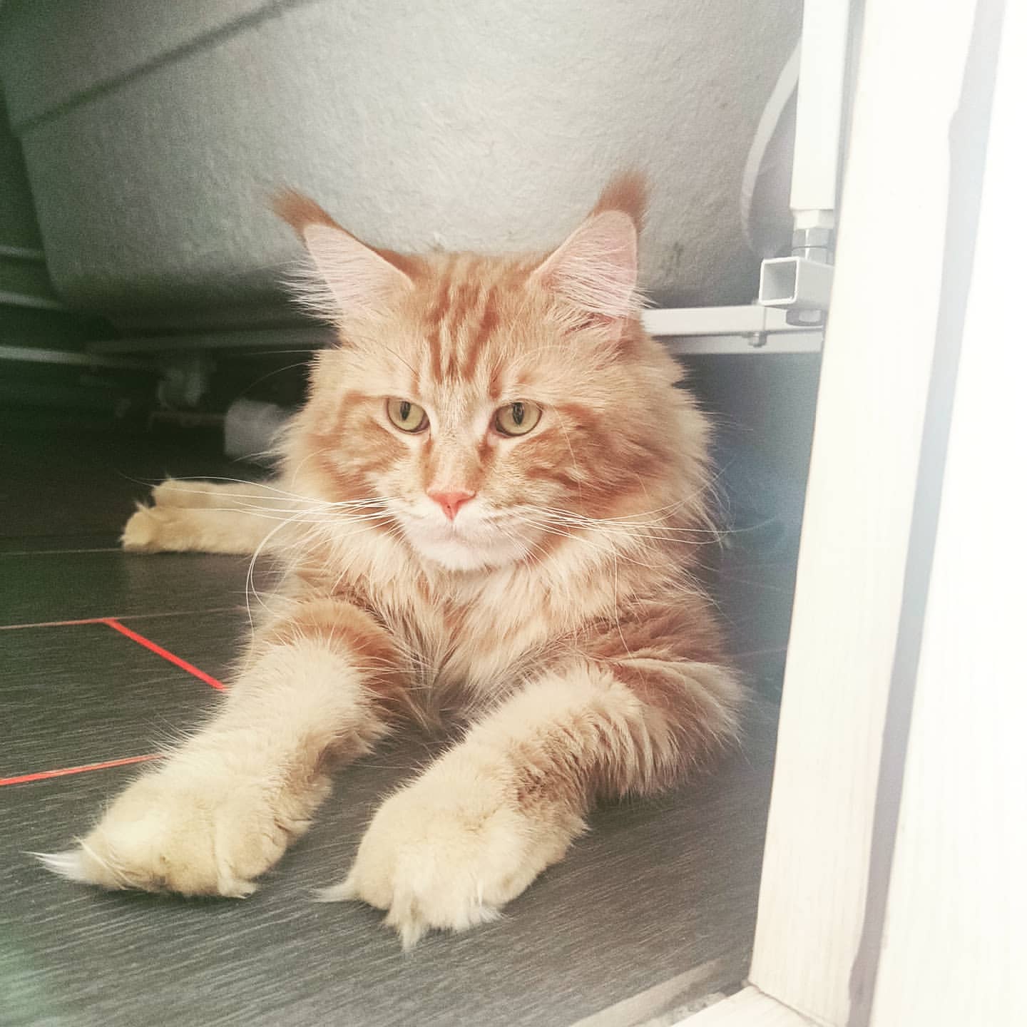 natalya_alekseevnad в LOOKY. . Очень редко можно ег...