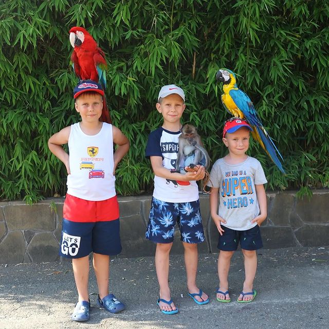 boguta_andrei в LOOKY. . null
