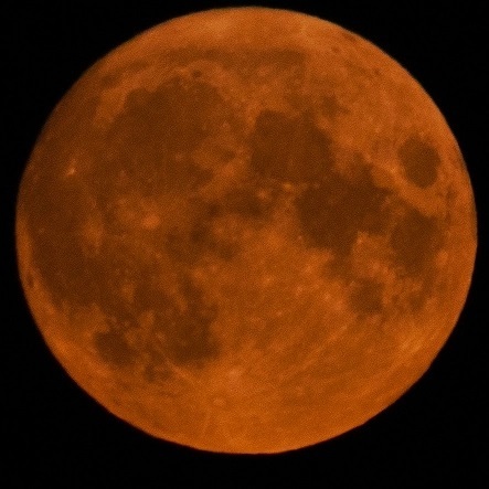 the.tail.wind в LOOKY. #nature#naturelife#naturephotography#wild#wildlifestyle#wildlifephotography#callofthewild#night#sky#nightsky#moon#redmoon#nightphotography#природа#дикаяжизнь#фотографииприроды#зовприроды#ночь#ночныефотографии#луна#краснаялуна. #nature#naturelife#n...