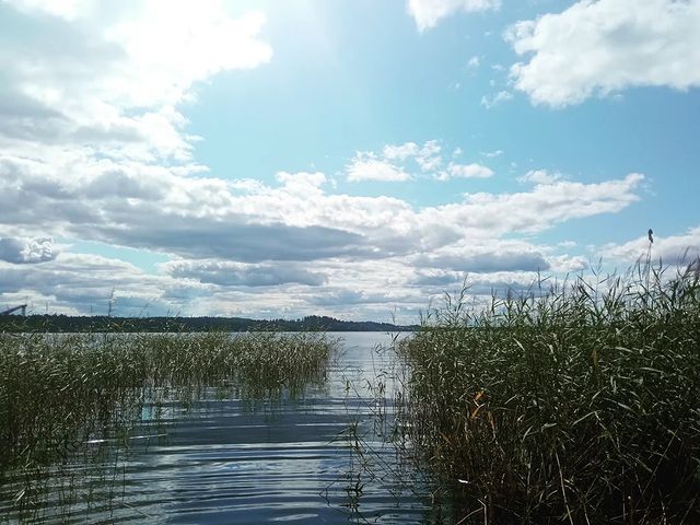 alx_nvsk в LOOKY. . Солнце, вода, танцы....