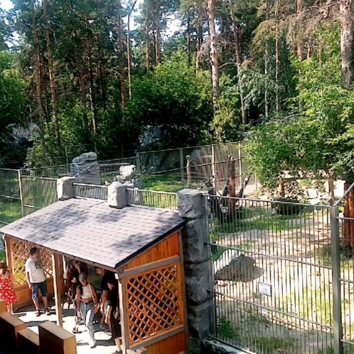 _anastasiyai в LOOKY. . null